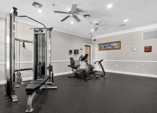 A spacious home gym with a variety of equipment including a squat rack, bench, and treadmill.