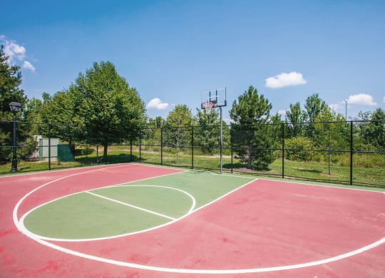 a basketball court at the whispering winds apartments in pearland, tx