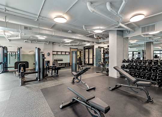 A gym with a variety of equipment including weights and benches at Hawkins Press Apartments, Charlotte, 28203