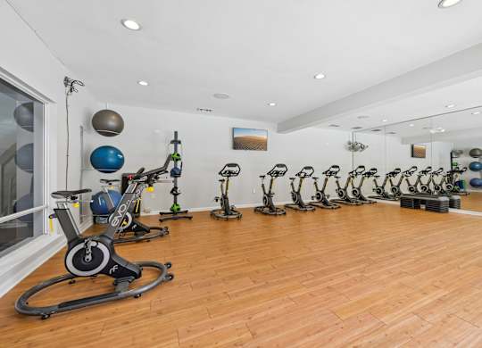 A gym with a row of stationary bikes and a mirror on the wall.