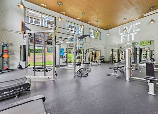A gym with a variety of equipment including a treadmill, weights, and a bench press.
