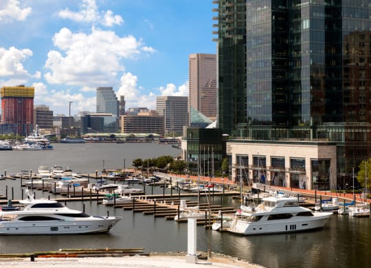 a harbor with boats and a city in the background at 1305 Dock Street, Baltimore, MD
