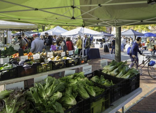 people shopping at a farmers market at a tent at 1305 Dock Street, Maryland, 21231