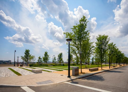 a park with trees and benches on the side of a street at 1305 Dock Street, Baltimore, Maryland