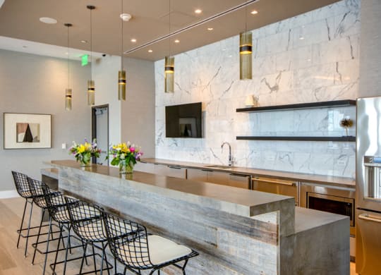 Clubhouse Bar Counter at 1405 Point, Maryland