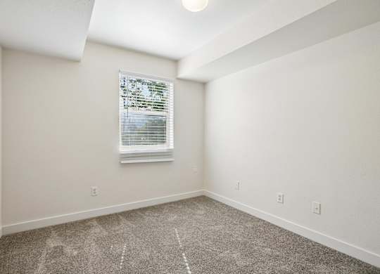 A room with a carpeted floor and a window with blinds.