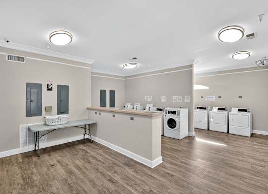 Community Laundry Area at Alexander Ridge Apartments, Canton, GA