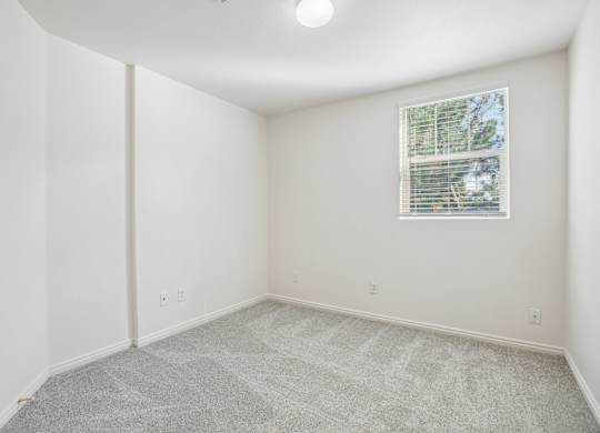 A room with a carpeted floor and a window with blinds.