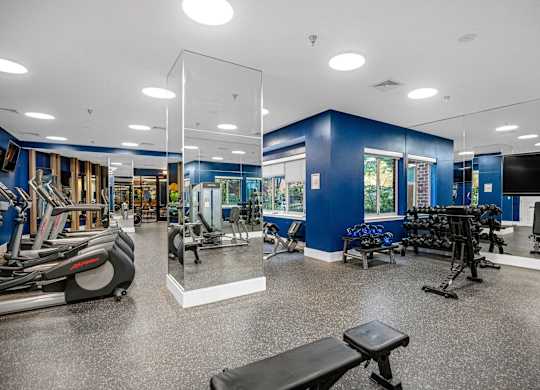 A gym with a variety of equipment including treadmills, weights, and exercise machines.