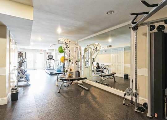 A spacious gym with a variety of equipment.