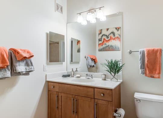 Modern Bathroom Fittings at 800 Carlyle, Alexandria