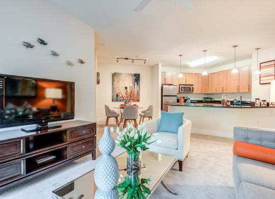 Living Room With TV at 800 Carlyle, Alexandria, VA, 22314