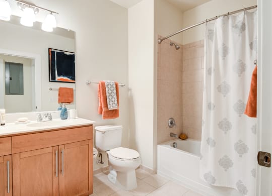 Luxurious Bathroom at 800 Carlyle, Virginia