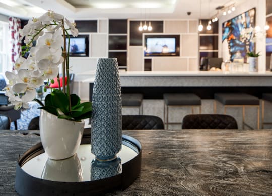 Community Clubhouse With Tv at 800 Carlyle, Alexandria, 22314