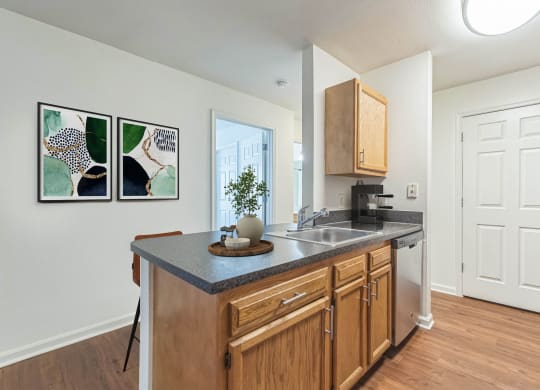 an open kitchen with a sink and a door to the living room at Sanger Place, Lorton