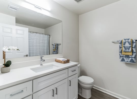 a bathroom with a toilet sink and mirror  at St. Andrews Reserve, Wilmington