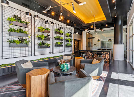 the lobby of a hotel with couches and chairs and plants on the wall  at South and Hollis, Charlotte