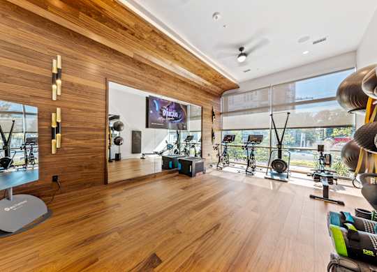 the home gym has plenty of windows and a large screen tv  at South and Hollis, North Carolina