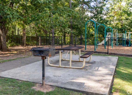 a picnic table and a grill in a park at Alexander Ridge Apartments, Canton , GA