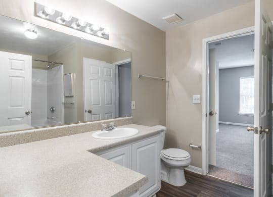 a bathroom with a sink and a toilet and a mirror at Alexander Ridge Apartments, Georgia