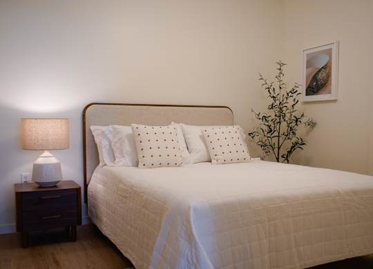 A bed with a white comforter and pillows sits next to a lamp and a plant.