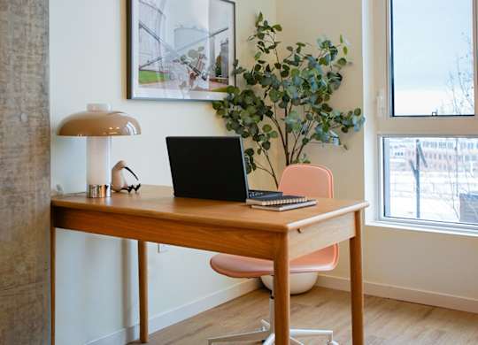 A laptop is on a desk with a plant and a lamp.