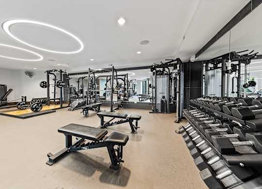 A well-equipped gym with various fitness machines and weights.