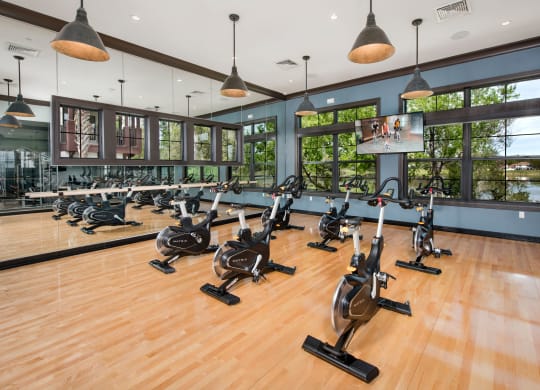 Fitness Center at Trelago Apartments in Maitland, FL 32751