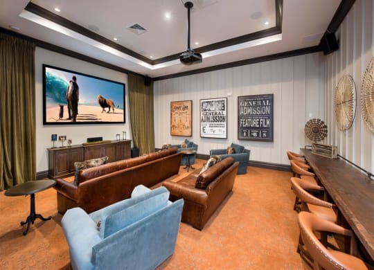 Theater In Clubhouse at Town Trelago, Maitland