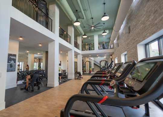 Cardio Machine at La Unión, Florida, 33605