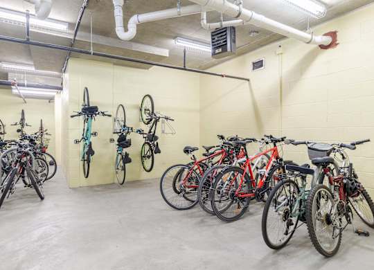 A bike rack with bicycles of various colors and types at Garfield Park, Arlington, 22201