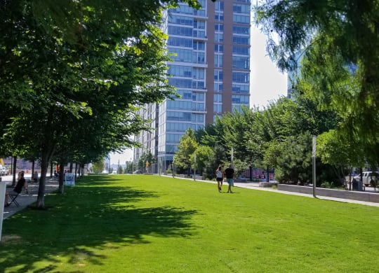 people walking on the grass in a park at Allied Harbor Point, Baltimore, MD