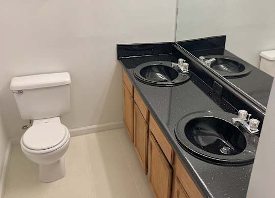 A white toilet sits next to a sink in a bathroom at Shenandoah Station Apartments, Triangle, VA