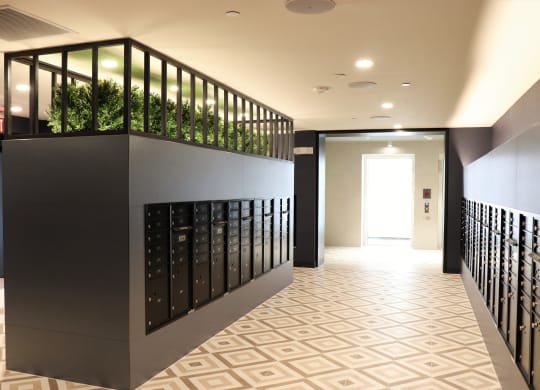 a view down the hallway of a building with a plant box on the top of the wall at Vyne One Loudoun, Ashburn, Virginia