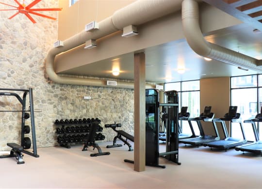 a spacious fitness center with a stone wall and a row of treadmills and weights at Vyne One Loudoun, Ashburn, VA