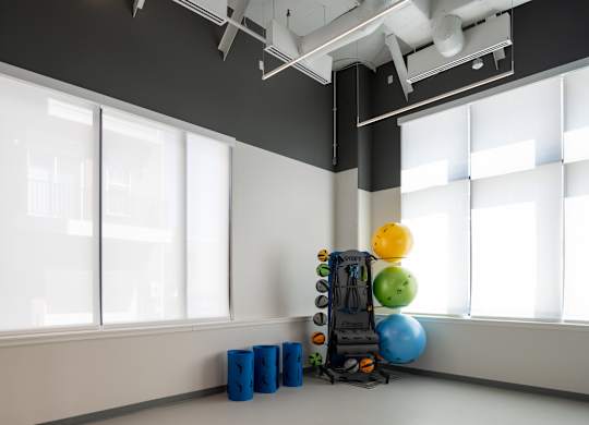 A gym with a blue and yellow ball, a blue and black weight stack, and a blue and black weight plate.