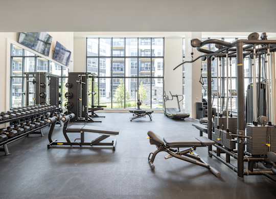 A gym with a variety of equipment including treadmills, weights, and exercise machines at The Sully Apartments, Chantilly 20151