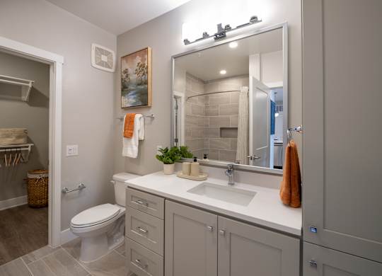 A bathroom with a toilet, sink, and mirror at The Sully Apartments, Chantilly 20151
