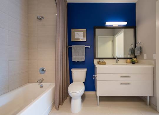 A white toilet sits next to a bathtub in a bathroom with blue walls. at Dock 79, Washington, DC 20003 