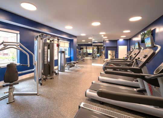 a gym with cardio equipment and weights on the floor