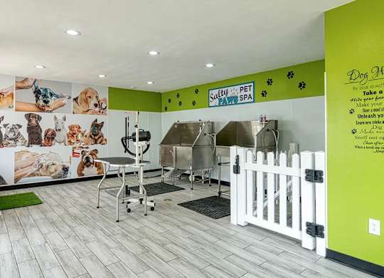 Dog Grooming Salon at Compass at City Center, Newport News, 23606
