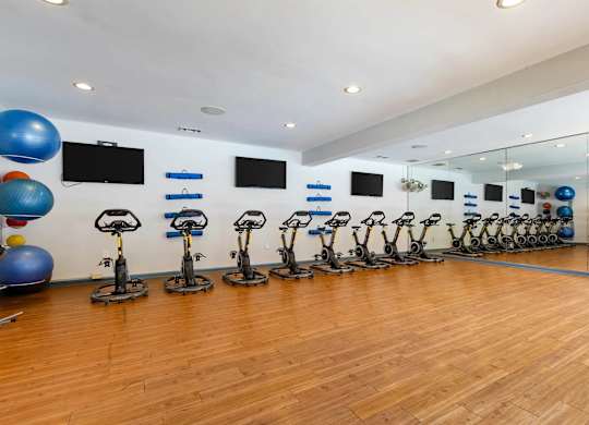 A gym with exercise bikes and exercise balls.at Crestline Cary, Cary, 27511
