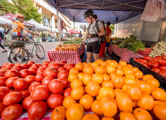 a woman shops for tomatoes at a farmers market at The Acadia at Metropolitan Park, Virginia, 22202