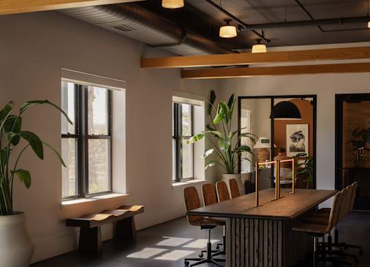 A room with a long table and chairs with a plant on the side.