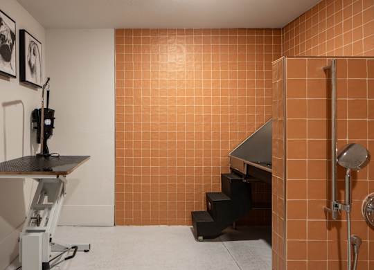 A bathroom with orange tiled walls and a white sink.