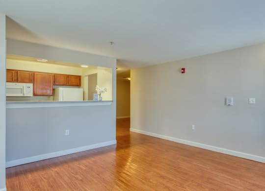 the living room and kitchen of an apartment with wood flooring and a white door at North Market South Carroll, Frederick, 21701