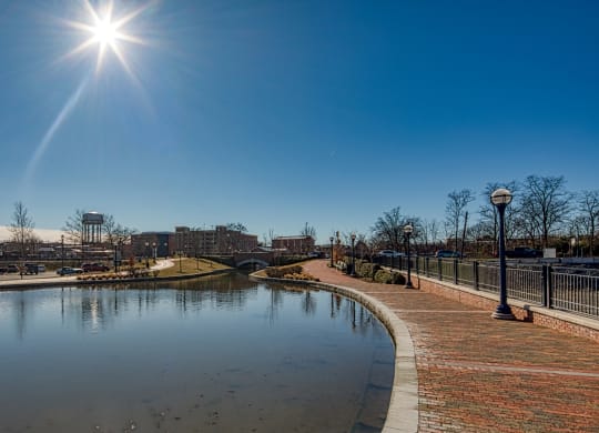 a park with a pond and a city in the background at North Market South Carroll, Frederick, 21701