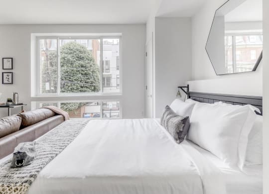 Comfortable Bedroom at Madison House, Washington
