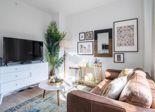 Living Area With TV at Madison House, Washington, DC