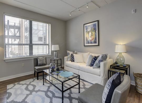 Living room area with couch at The Gunther, Baltimore, MD, 21224